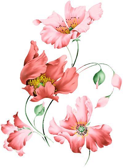 flower prints (цвето...