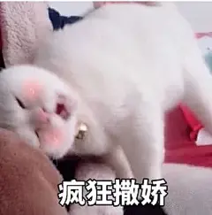 来自分享