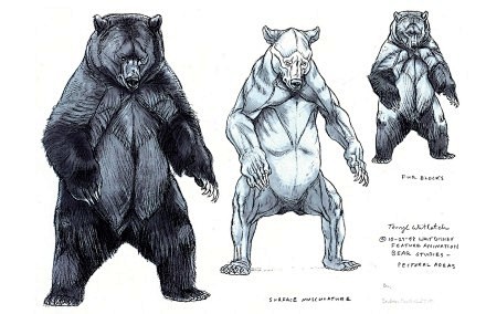 【动物结构】熊的解剖学结构