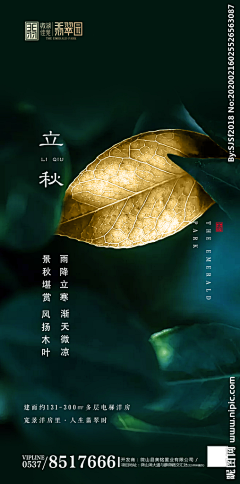 临江醉雨采集到节气