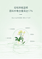 板蓝根面料