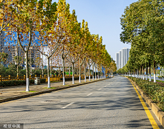 一只红鲸鱼-采集到道路景观/沥青路