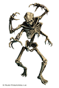 Pathfinder: Kasatha Skeleton by WillOBrien on DeviantArt