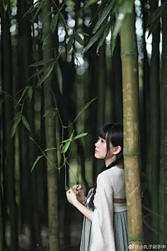 《竹枝词》
初露摇竹影，衣袂动晨风。暮烟舞碧空，裙裾染夕红。（衣裳by乔恩，摄影by老公，配词by我）@黄乔恩 @乔恩川黛 ​​​​