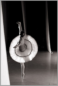 美女珠珠采集到芭蕾公主飞舞
