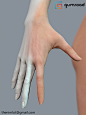 Female basemesh, Georgian Avasilcutei : https://gum.co/hBlgL

A fully detailed female sculpt with skin details just ready for you to turn it into amazing characters.

The zbrush mesh has 3 layers:
-one for the non symmetrical details

-one for all the ski