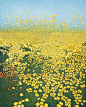 Phil Greenwood 来自ART发现 - 微博