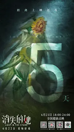 消失的她 海报
