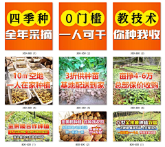 紫薇同学采集到配图模板