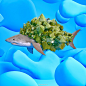 Kota Yamaji 不可思议的奇妙生物