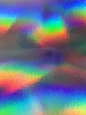 Holo-6