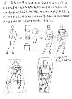 浅若夏沫&采集到人体结构