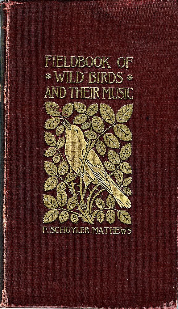 Cover featuring gold...