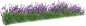 草花