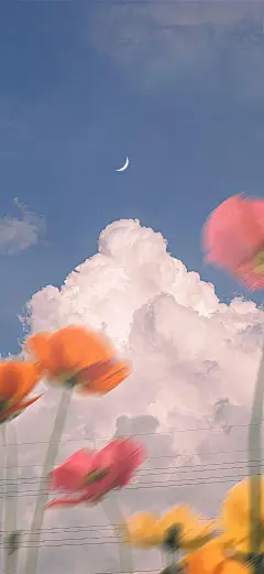 云朵壁纸