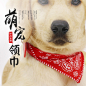 狗狗围脖围巾猫咪项圈大中小型犬口水三角巾金毛泰迪幼犬狗狗饰品
