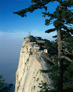 小麦00采集到大场景