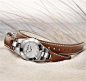 名士灵霓系列春夏限量版表款-时尚女士手表