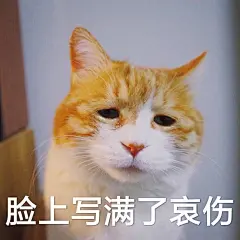你都存了哪些沙雕表情包？ - 知乎 : 之前不知道咋搞的总去不了水印，这次终于去掉了！嘻嘻我已经悄然跻身于本答案前二十名没想到知乎获得最高…