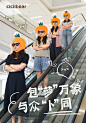 包萝万象