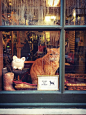 hellowindowcat: “Philthy Midtown Village window cat ”