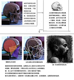 广光逛采集到人体结构