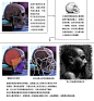 [转载]【转】林冉那些消失的心得（二）