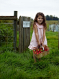 picking strawberries
