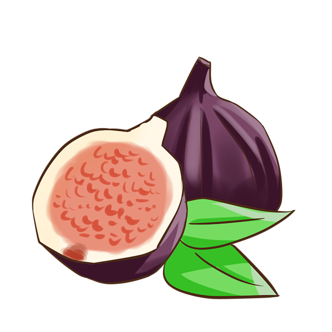 手绘无花果