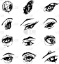 动物眼睛,女性,眼球,睫毛,女人,女孩,轮廓,白色,自然美,收集