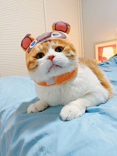 江门采集到M猫