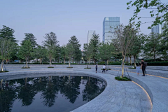 接骨木西打采集到大学