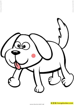 有点像人类，小狗的皮毛颜色可能会随着年龄的增长而改变。色块可以变化和增长，它们如何变化取决于品种。例如，斑点狗要到两三周大时才会长出著名的斑点。如果您的幼犬是纯种，那么您或多或少可以通过父母的长相来预测它们的外貌，但对于杂种或混种幼犬，情况可能会更加复杂。关于小狗的另一个有趣的事实是，每天出生的小狗数量大大超过了进入这个世界的人类婴儿的数量，大约有 120 万只小狗对 360,000 只婴儿。小狗的数量大约是人类的 3 倍！