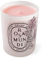 Diptyque 'Rosa Mundi' Scented Candle - Farfetch : Shop Diptyque 'Rosa Mundi' scented candle.