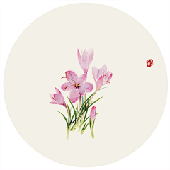 TwinklTwinkl小采集到木匠，刺绣，手作