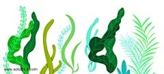 卡通手绘绿色海底植物图片png免抠元素装饰图案背景装饰免扣图片设计图案