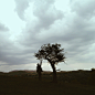 LOFTER