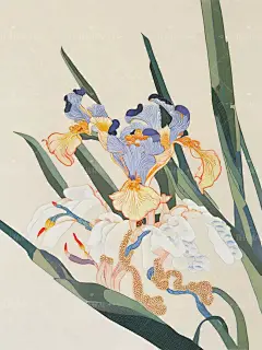 东方美学丨绣里乾坤-鸢尾花(三十) - 小红书
