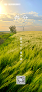 春分设计师春分-志设网-zs9.com