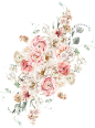 水彩清新花卉植物LOGO图标婚礼海报装饰透明免抠PNG图案装饰素材 (1)