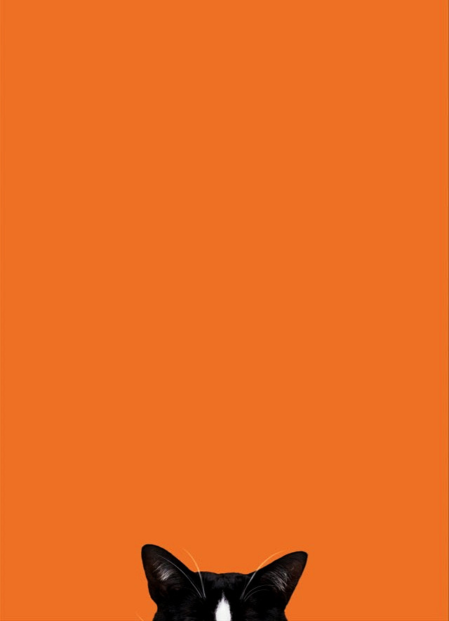 【橙色】Orange