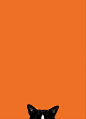【橙色】Orange