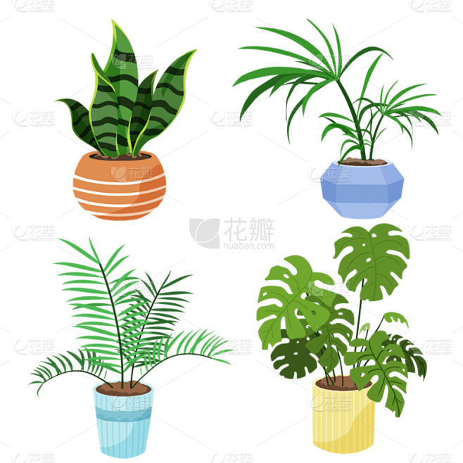 手绘盆栽植物插画元素3