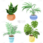 手绘盆栽植物插画元素3