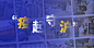 战疫守“沪”时，当“楚”变不惊！