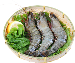 五贤良采集到食材