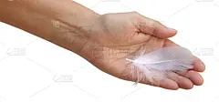 白色,翎毛,天使,平衡折角灯,标志,纯净,背景分离,女性特质,拿着,消息