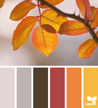 Design Seeds® | find...