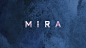多伦多MIRA餐厅logo设计