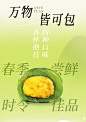一粒青团子的前世今生